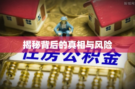 博山揭秘背后的真相与风险