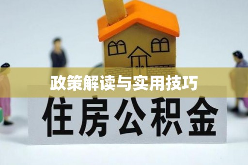 博山政策解读与实用技巧