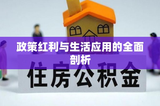 博山政策红利与生活应用的全面剖析