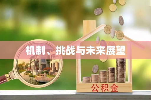博山机制、挑战与未来展望